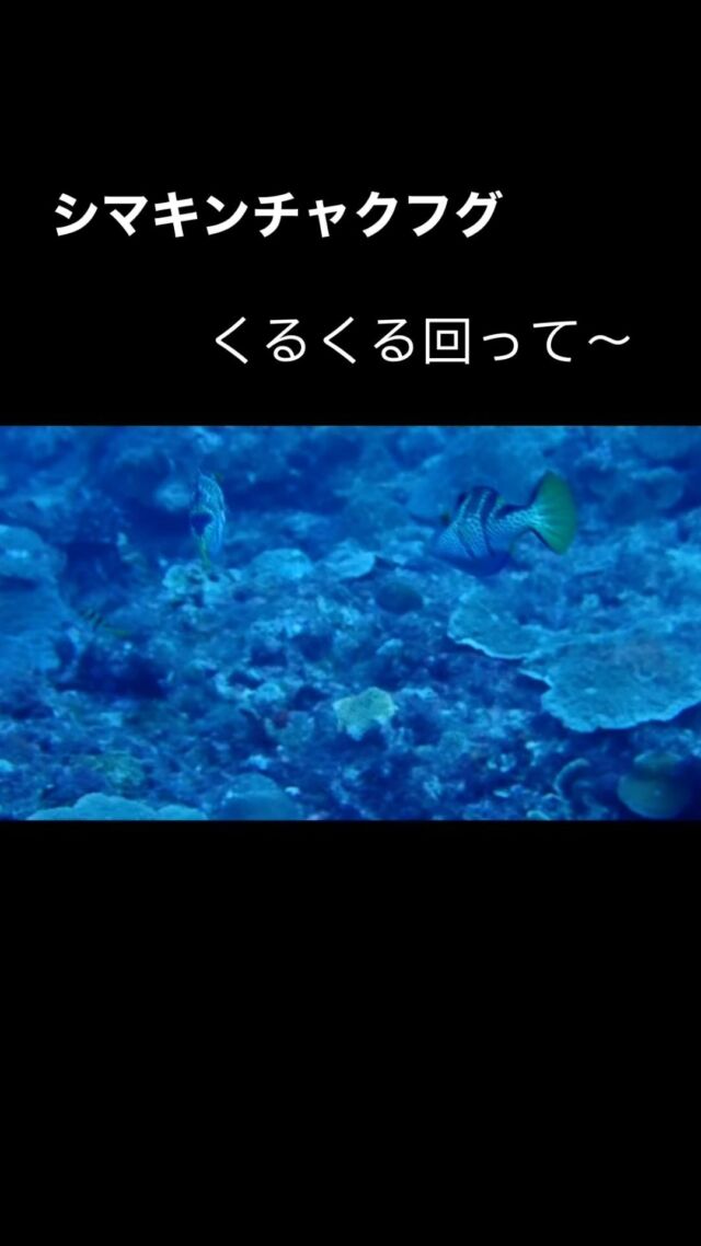 Instagram 投稿 17956654433360554