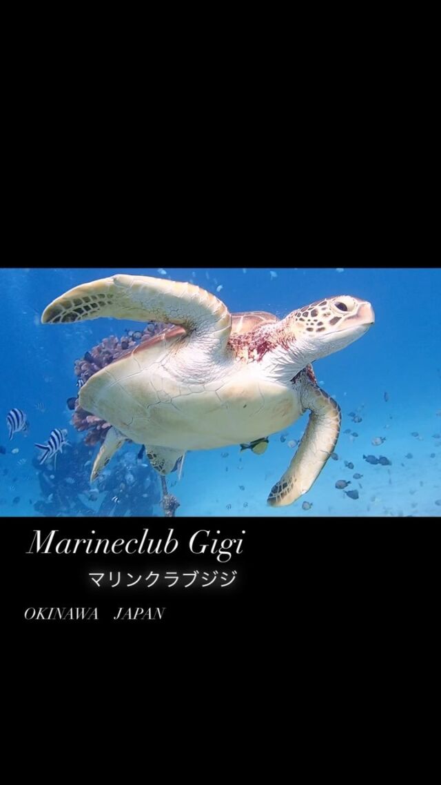Instagram 投稿 17931154091697428