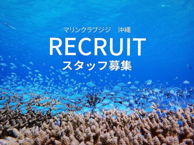 ♪新スタッフ募集♪

こんにちはマリンクラブジジです
ジジでは新しいスタッフを募集しております！

海が大好きな方大募集♪
未経験者も大歓迎！
インストラクターまでしっかり育てます！
学歴や見た目(髪の色等)は問いません

皆様からのご応募を
心よりお待ちしております

#沖縄 #恩納村 #求人 #求人募集中 #沖縄求人 #求人情報 
#沖縄ダイビングショップ #青の洞窟
#シュノーケリング#ダイビングライセンス 
#ダイビング  #体験ダイビング #沖縄ダイビング
