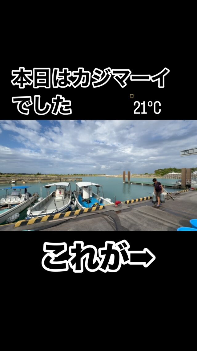 10分〜15分で大荒れ😱
急な天候悪化・海況不良になることが度々あります。
直前でのポイント変更や中止もございますのでご了承ください。

#沖縄 #沖縄ダイビングショップ #恩納村 #沖縄旅行 #沖縄ダイビング #青の洞窟 #海 #体験ダイビング #シュノーケリング #スノーケリング